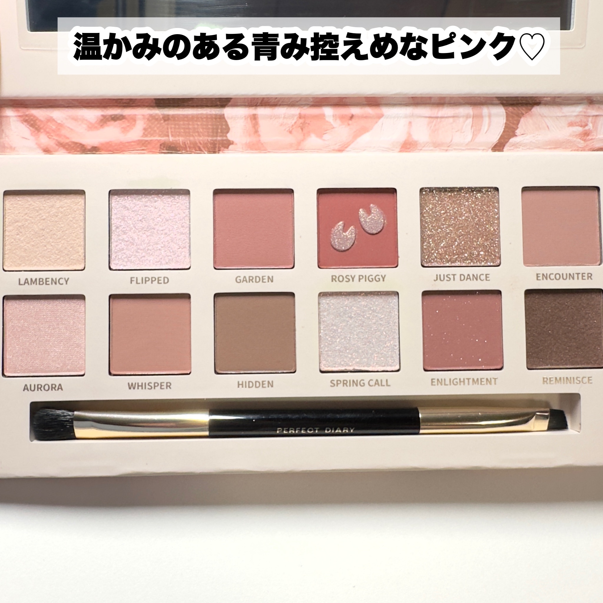 エクスプローラ12色 動物アイシャドウパレット/PERFECT DIARY/アイシャドウパレットを使ったクチコミ（3枚目）