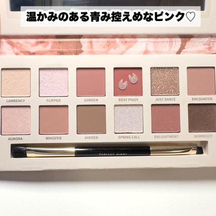 エクスプローラ12色 動物アイシャドウパレット/PERFECT DIARY/アイシャドウパレットを使ったクチコミ(3枚目)