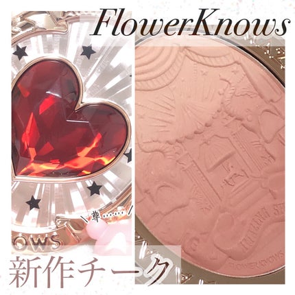 サーカスシリーズ グラデーションブラッシュ /FlowerKnows/パウダーチークを使ったクチコミ(1枚目)