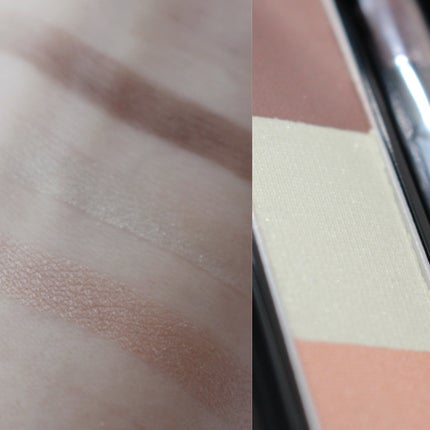 ヴィセ リシェ アイブロウパウダー BR-6 ニュアンスミント(限定)/Visée/パウダーアイブロウを使ったクチコミ(2枚目)