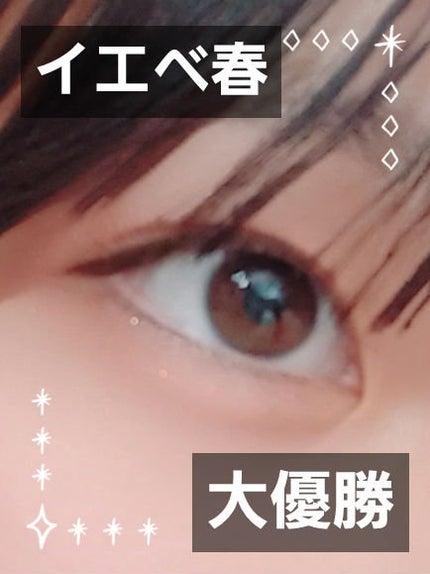 ベアシャドウパレット/フォレンコス/アイシャドウパレットを使ったクチコミ(1枚目)