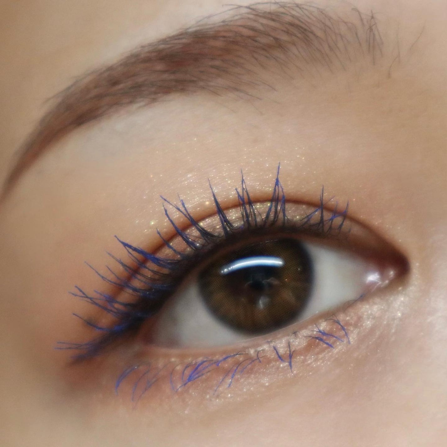 シャドウパレット/dasique/アイシャドウパレットを使ったクチコミ(4枚目)