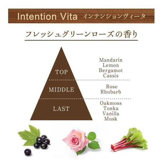 バス＆モイスチャーボディオイル Intention Vita（インテンションヴィータ）/REMRIS/ボディオイルを使ったクチコミ（3枚目）