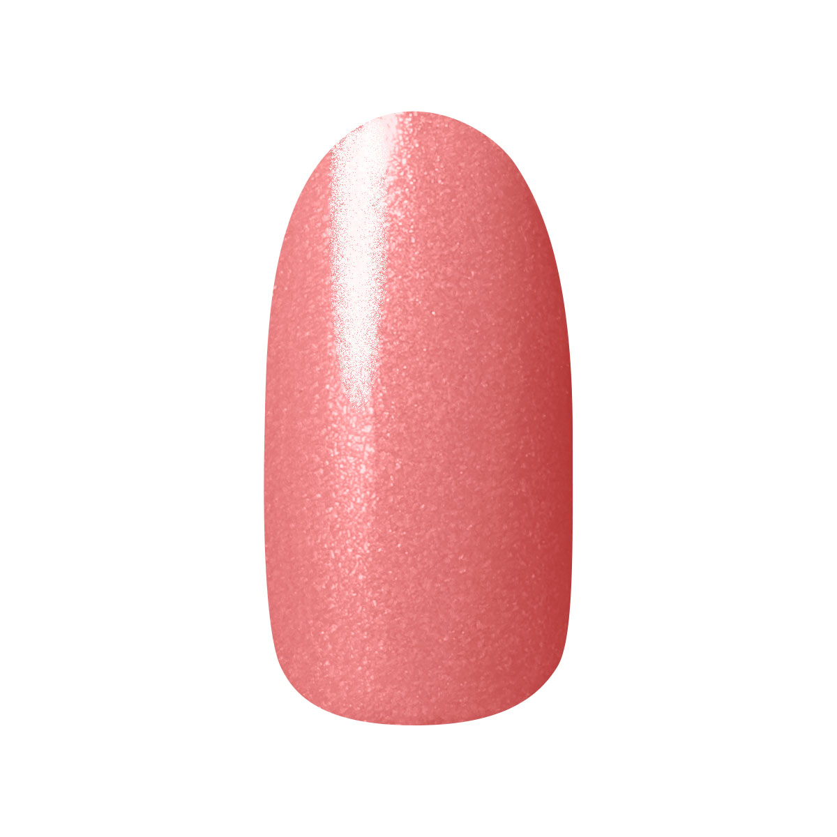 ネイルカラー&ハンドクリームキット KT 02