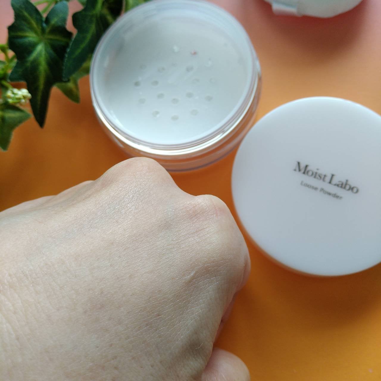 ルースパウダー<テカリ防止タイプ>/Moist Labo/ルースパウダーを使ったクチコミ(5枚目)