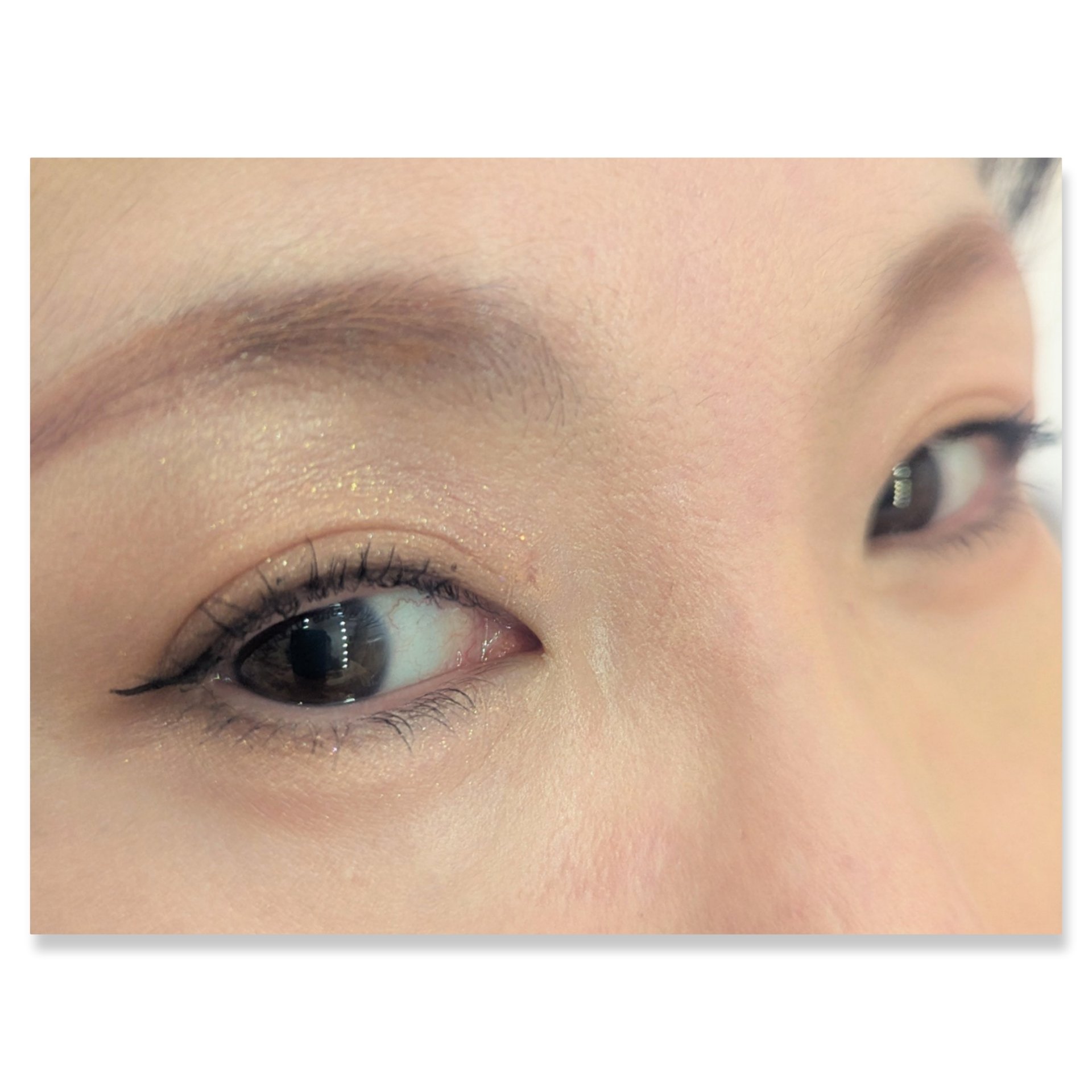 シャドウパレット/dasique/アイシャドウパレットを使ったクチコミ（2枚目）