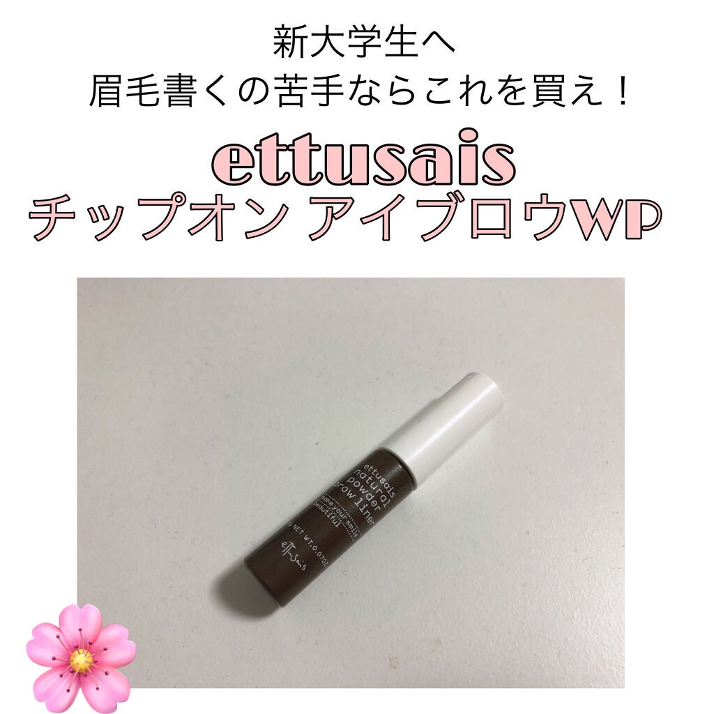 チップオン アイブロー/ettusais/パウダーアイブロウを使ったクチコミ(1枚目)