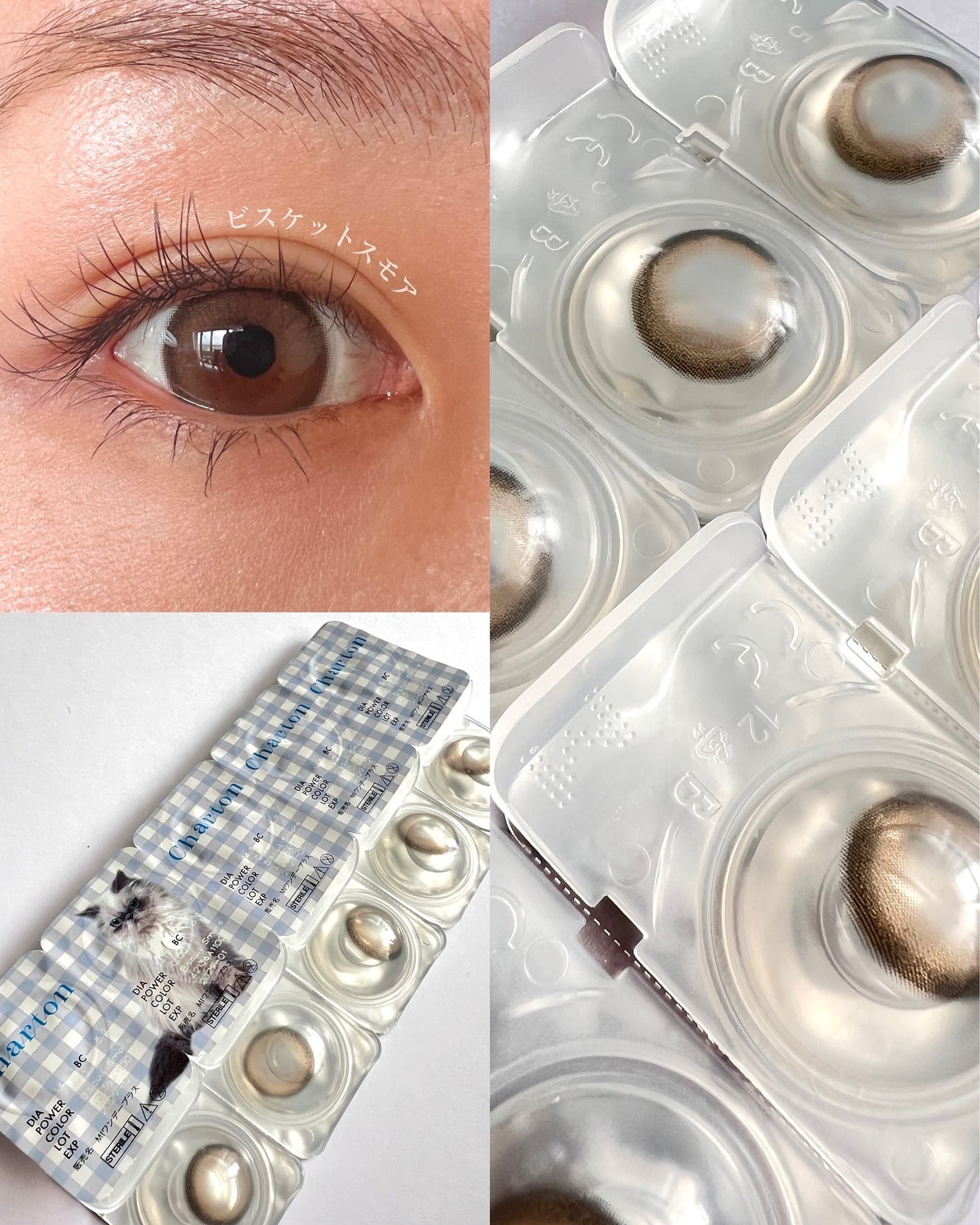 Charton 1day/Charton/ワンデー(1DAY)カラコンを使ったクチコミ(3枚目)
