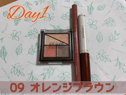 シルキーリキッドアイライナーWP/D-UP/リキッドアイライナーを使ったクチコミ(1枚目)