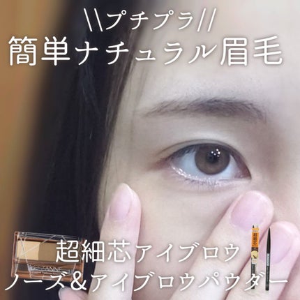 ノーズ&アイブロウパウダー/CEZANNE/パウダーアイブロウを使ったクチコミ(1枚目)