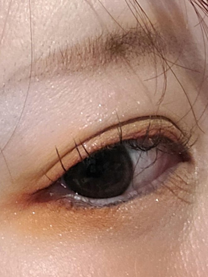 アニマルアイシャドウ(4シェード)/ZEESEA/アイシャドウパレットを使ったクチコミ(3枚目)