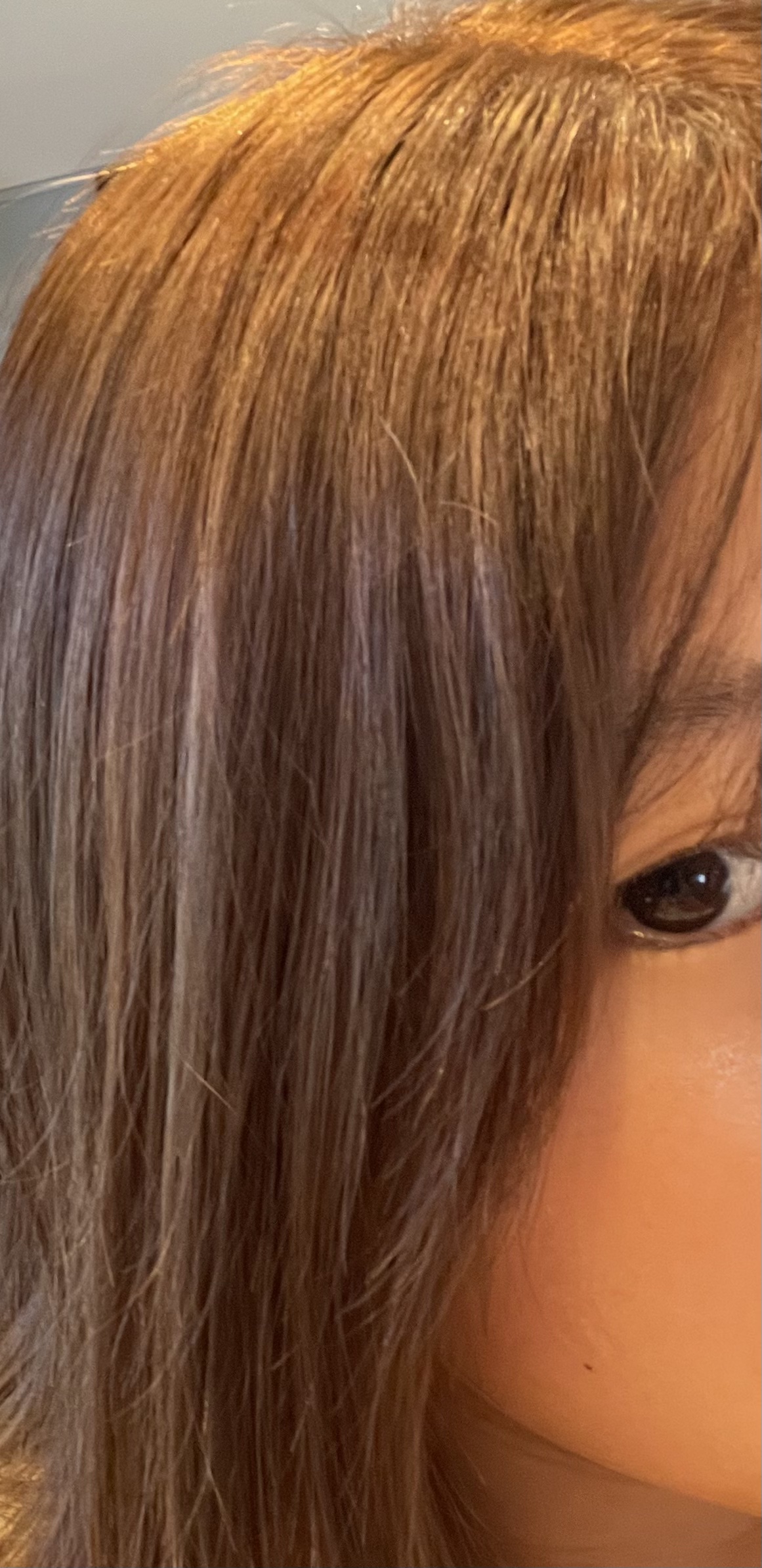 ホイップヘアカラー スイートグレージュ/ビューティラボ/ヘアカラーを使ったクチコミ（2枚目）