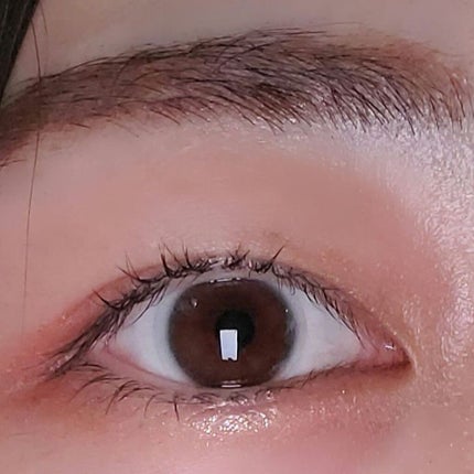 ラスティングマルチアイベース WP/キャンメイク/アイシャドウベースを使ったクチコミ(2枚目)