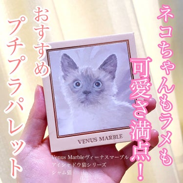 Venus Marble アイシャドウキャットシリーズ シャム猫/Venus Marble/パウダーアイシャドウを使ったクチコミ（1枚目）