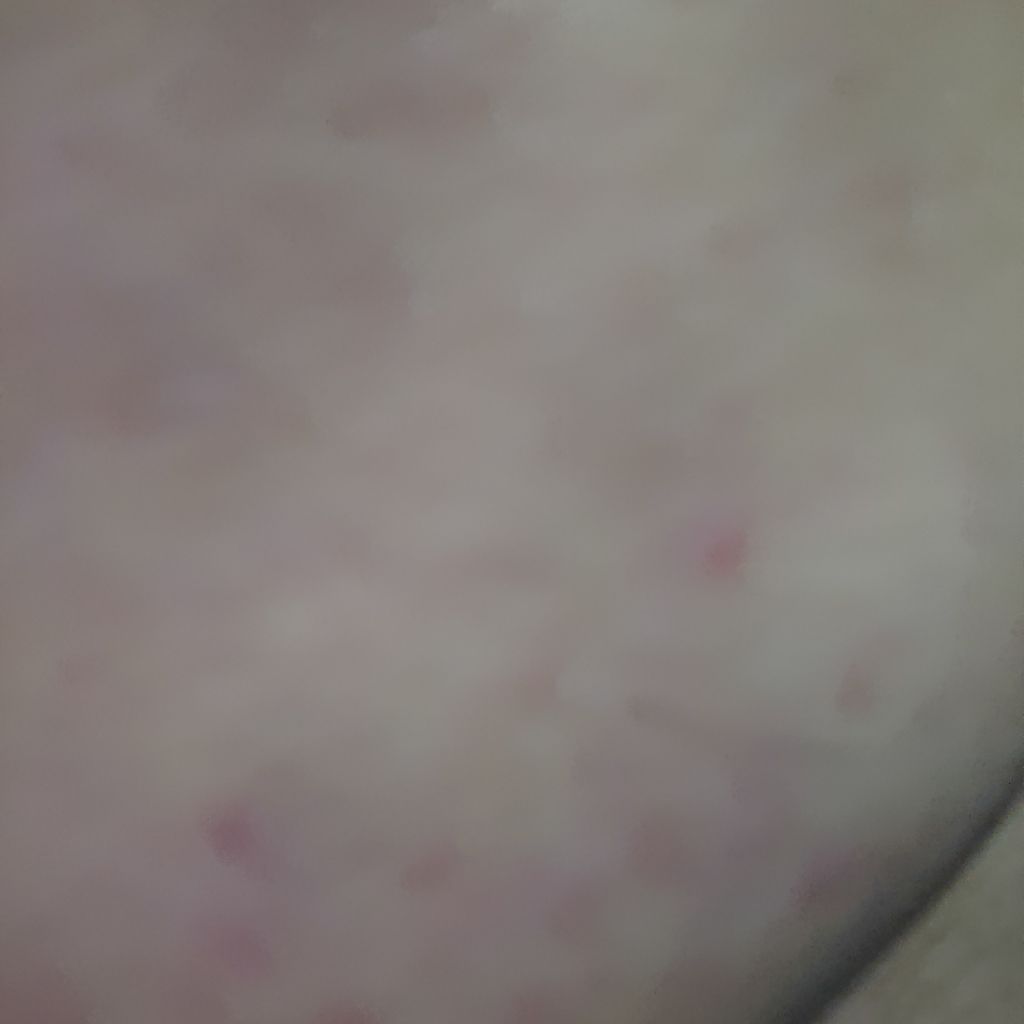 パーフェクトホイップ コラーゲンin/SENKA(専科)/洗顔フォームを使ったクチコミ(3枚目)