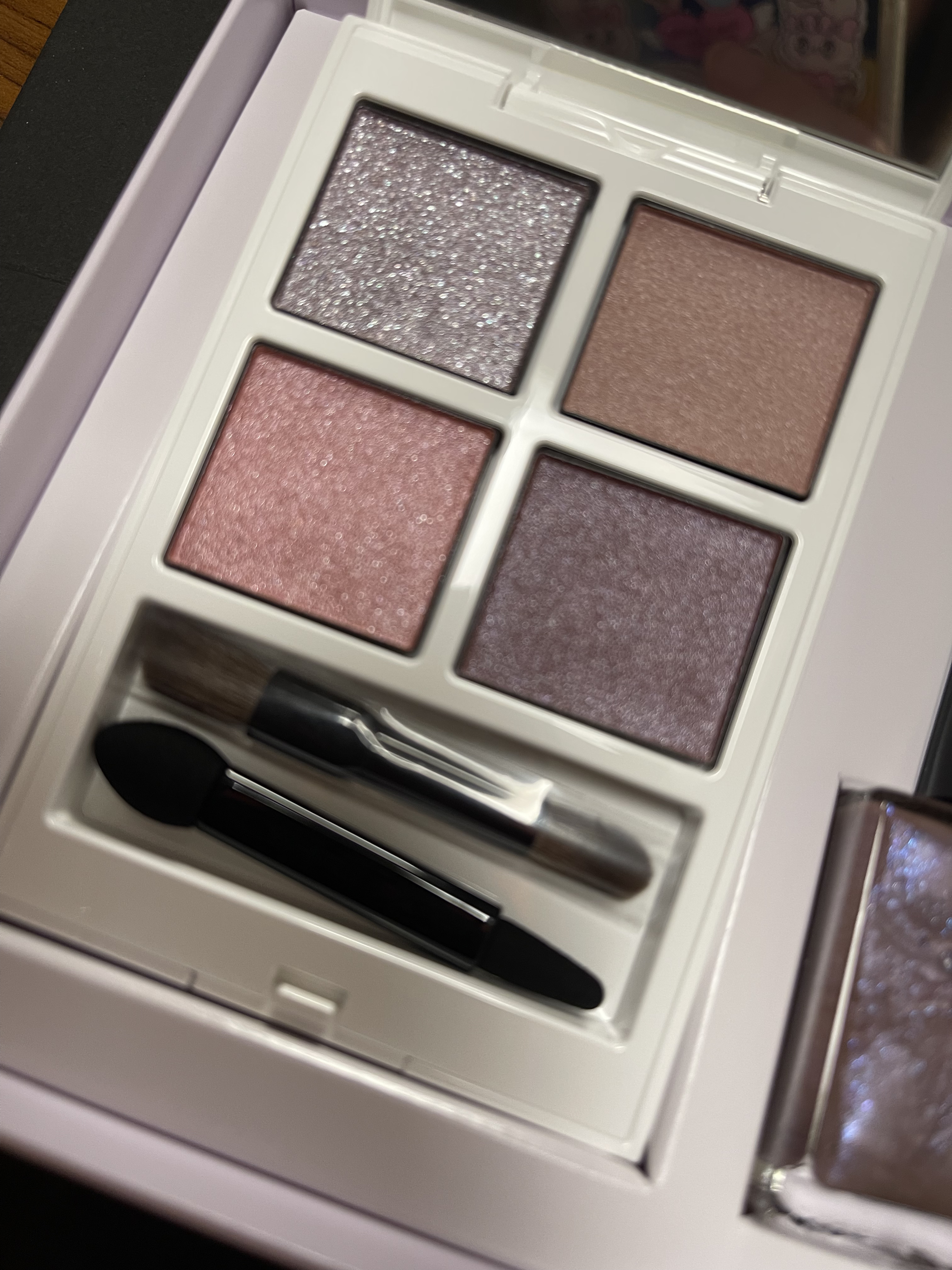 ホリデー アディクション サイレント ウィッシュⅠ/ADDICTION/メイクアップキットを使ったクチコミ（2枚目）