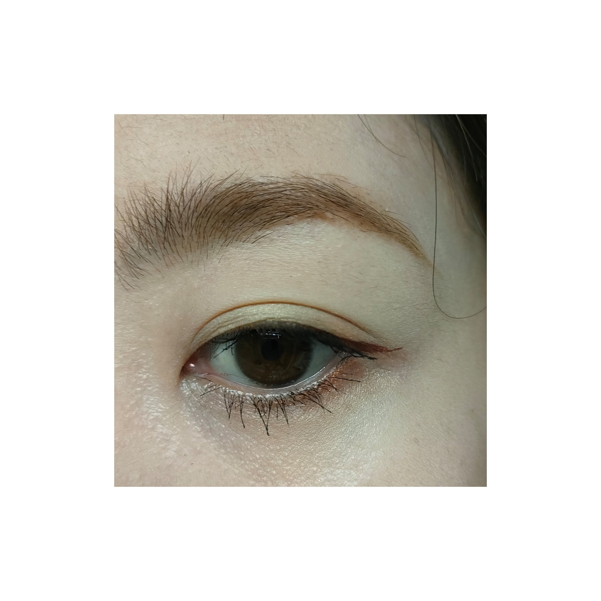 ＵＧＴ　ジェルアイライナー 03c　ピンクショコラ/U R GLAM/ジェルアイライナーを使ったクチコミ（3枚目）