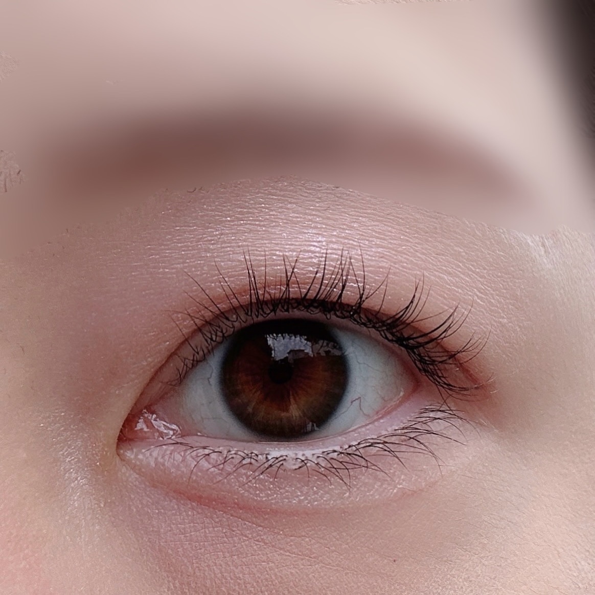 再お値下げ！美品希少　クリスチャン ディオール エスパドリーユ サンダル ディオール / ディオールショウ サンク クルール 863 ソワール ドゥ