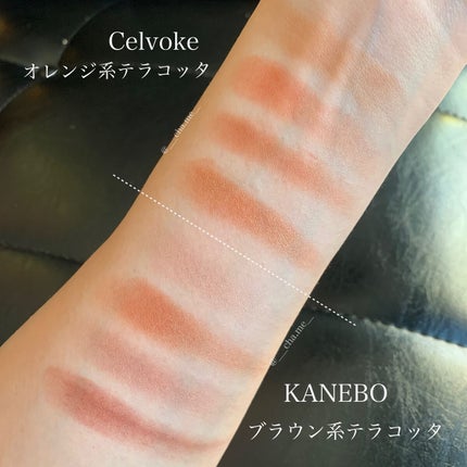 レイヤードカラーズアイシャドウ/KANEBO/アイシャドウパレットを使ったクチコミ(4枚目)