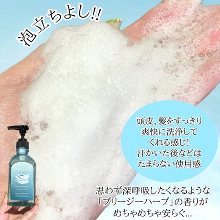 クールクレイシャンプーセット/DROAS/その他キットセットを使ったクチコミ(4枚目)