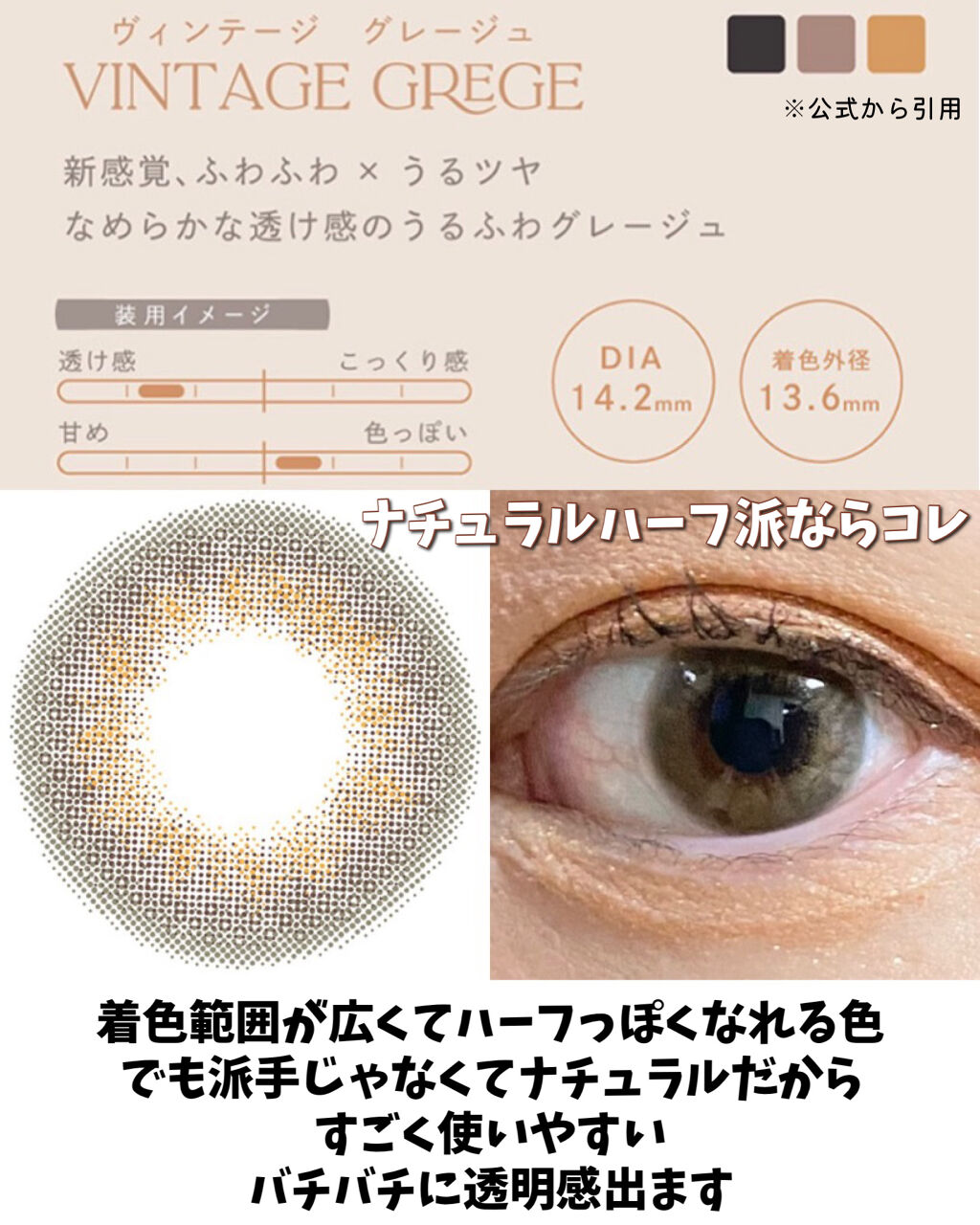 Angelcolor Bambi Series Vintage 1day/AngelColor/ワンデー（１DAY）カラコンを使ったクチコミ（2枚目）