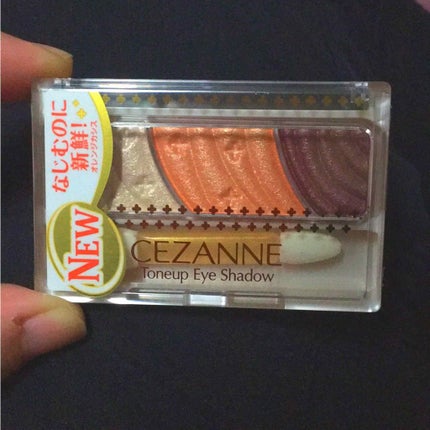 トーンアップアイシャドウ/CEZANNE/アイシャドウパレットを使ったクチコミ(1枚目)
