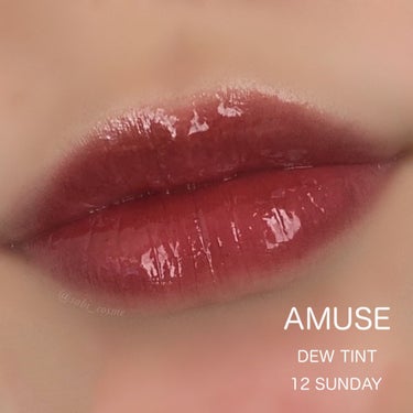 デューティント/AMUSE/口紅を使ったクチコミ（1枚目）