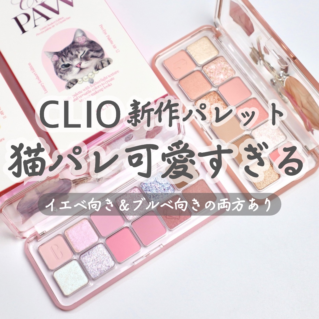 プロ アイ パレット エアー/CLIO/アイシャドウパレットを使ったクチコミ（1枚目）