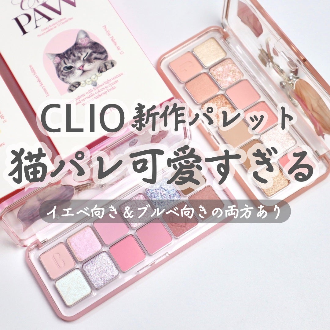 プロ アイ パレット エアー/CLIO/アイシャドウパレットを使ったクチコミ(1枚目)