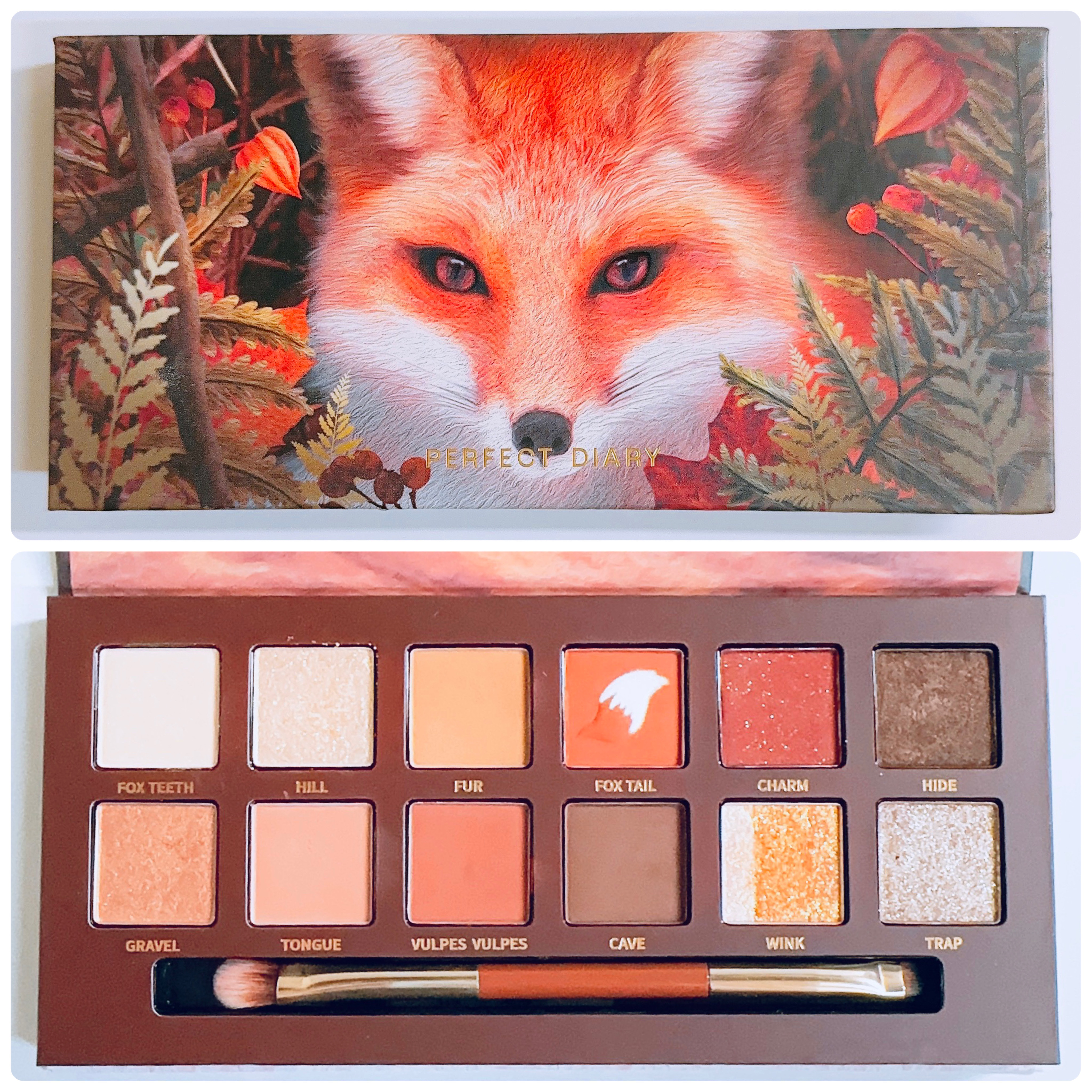 エクスプローラ12色 動物アイシャドウパレット/PERFECT DIARY/アイシャドウパレットを使ったクチコミ（2枚目）