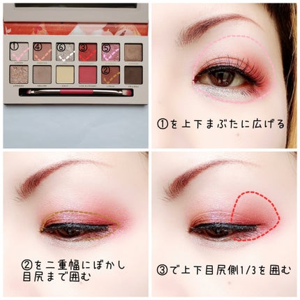 エクスプローラ12色 動物アイシャドウパレット/PERFECT DIARY/アイシャドウパレットを使ったクチコミ(2枚目)