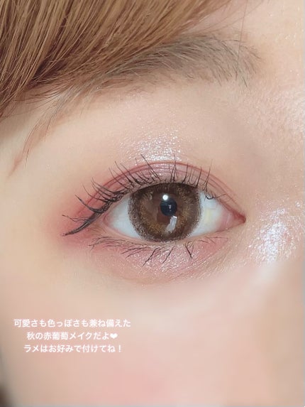 ごんす@YouTube始めました on LIPS 「《BIDOLで秋の赤葡萄メイクHowto❤︎》最近までずっとメ..」(6枚目)