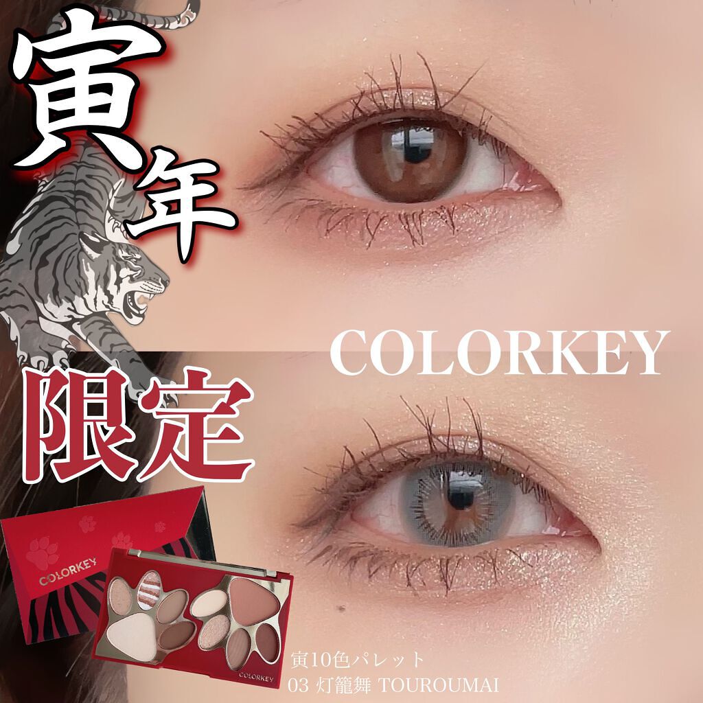 トラ十色アイシャドウパレット/COLORKEY/アイシャドウパレットを使ったクチコミ（1枚目）