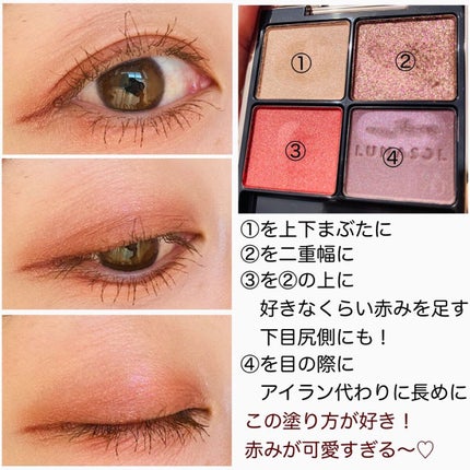 アイカラーレーション/LUNASOL/アイシャドウパレットを使ったクチコミ(2枚目)