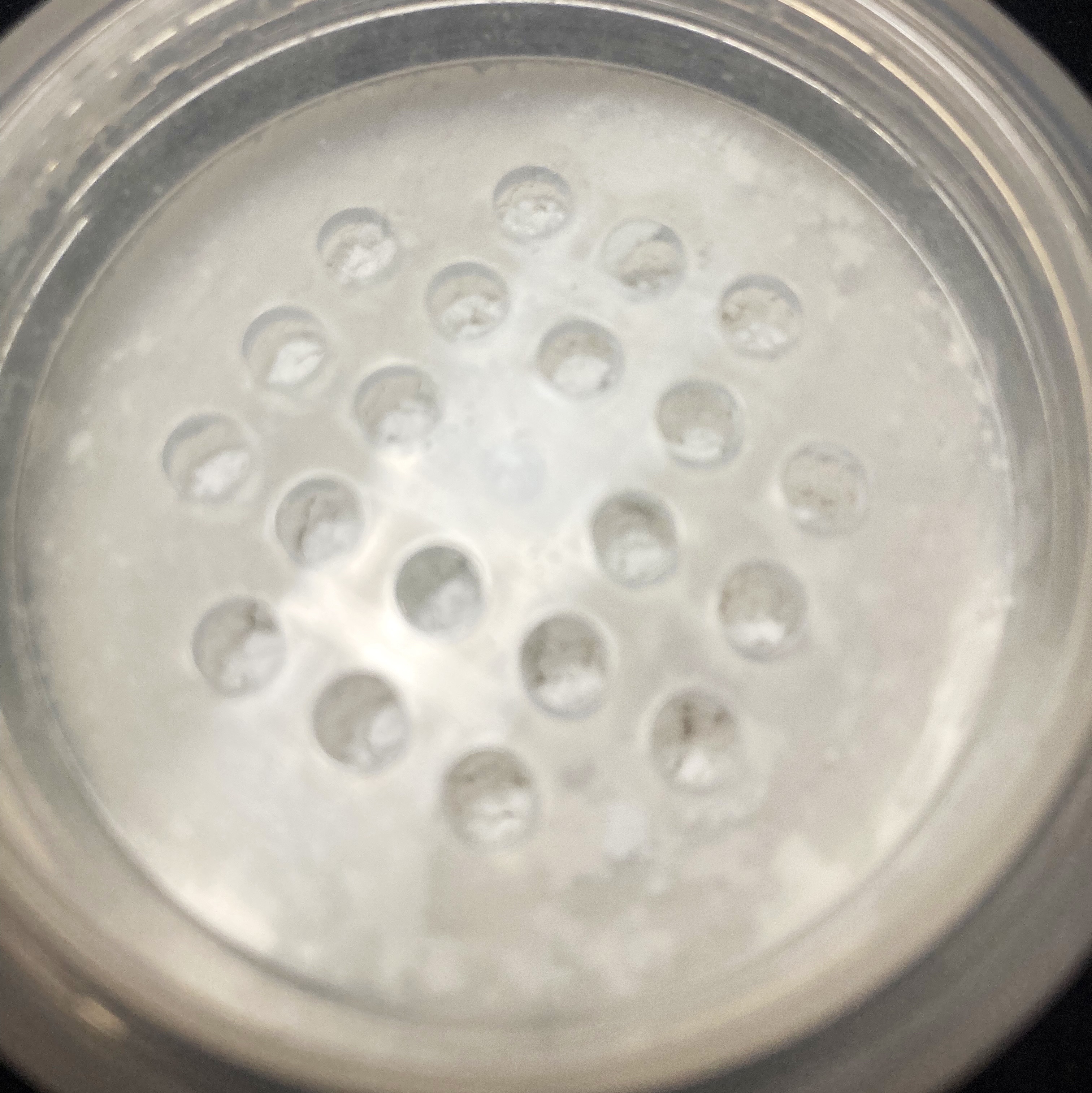 ドラマティックエッセンスヴェール ルースパウダー/マキアージュ/フェイスパウダーを使ったクチコミ（3枚目）