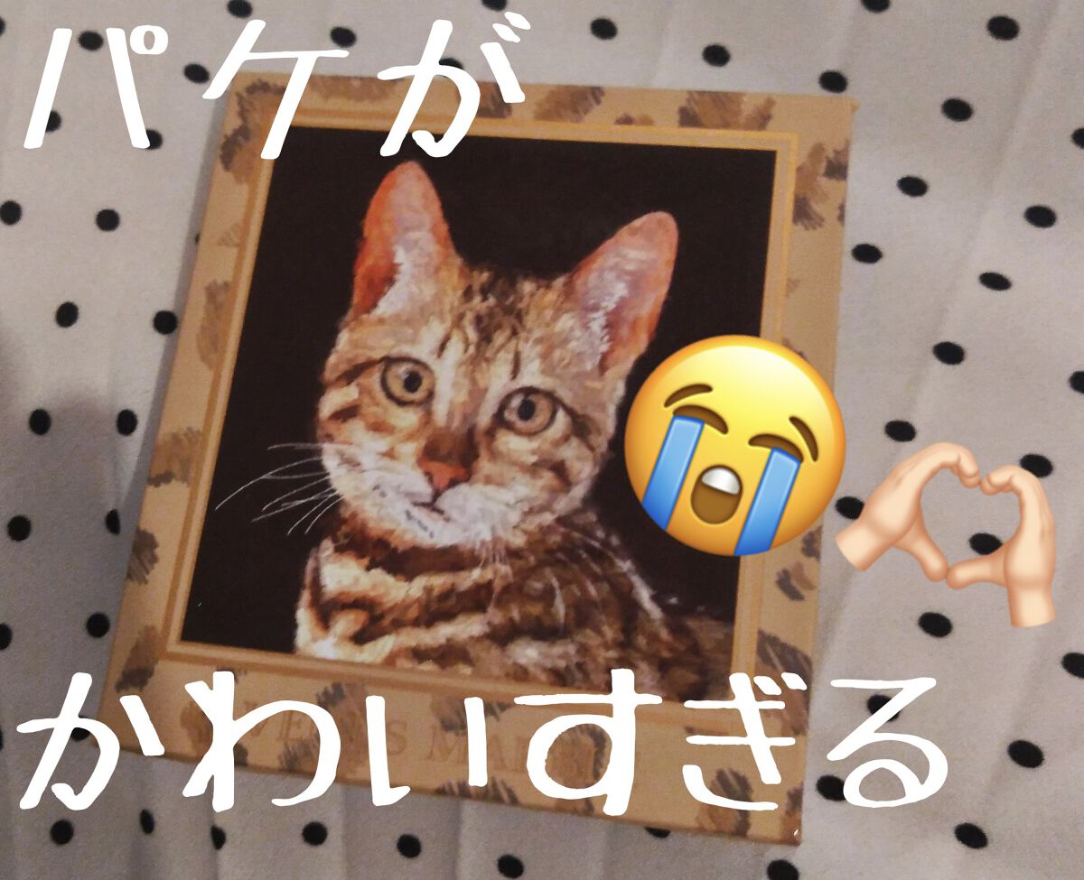 Venus Marble アイシャドウキャットシリーズ/Venus Marble/アイシャドウパレットを使ったクチコミ（3枚目）