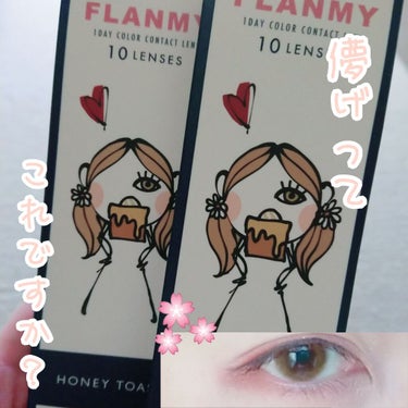 FLANMY 1day（10枚/30枚）/FLANMY/ワンデー（１DAY）カラコンを使ったクチコミ（1枚目）