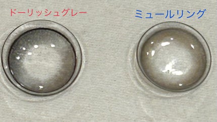 eye closet 1day View Rosetta/EYE CLOSET/ワンデー(1DAY)カラコンを使ったクチコミ(4枚目)