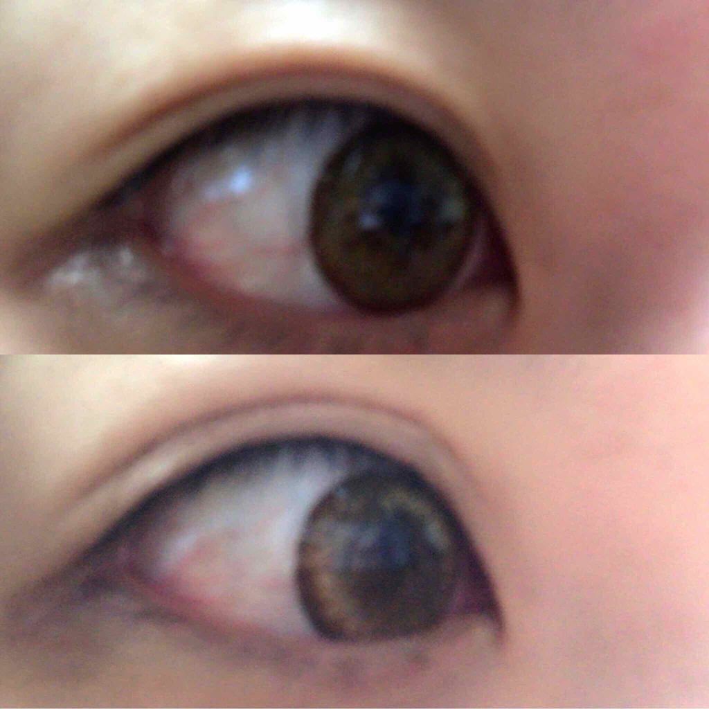 プリュドール ナチュラル/STYLE+NOBLE/二重まぶた用アイテムを使ったクチコミ（2枚目）