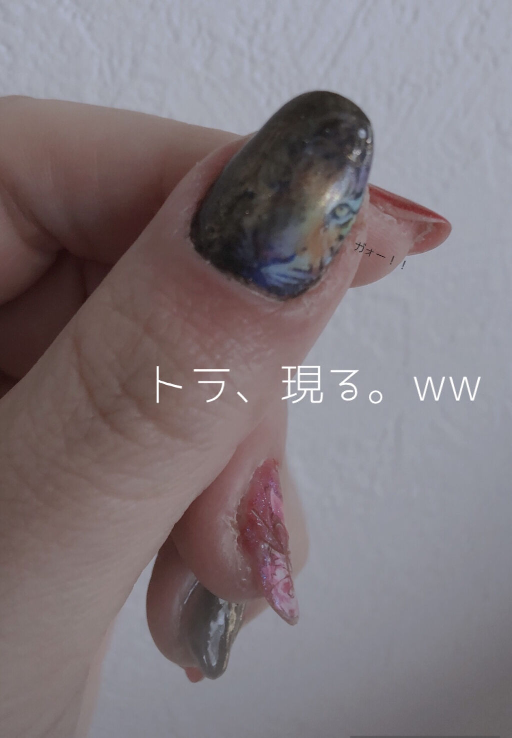 パル カラージェル レッド/キャンドゥ/ジェルネイルを使ったクチコミ（2枚目）