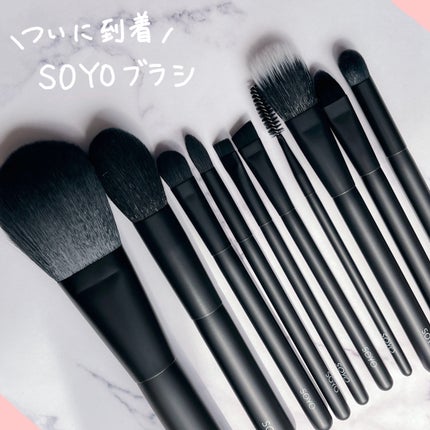 SOYO ディスカバー フルセット (10本+ケース付)/SOYO/メイクブラシを使ったクチコミ(1枚目)