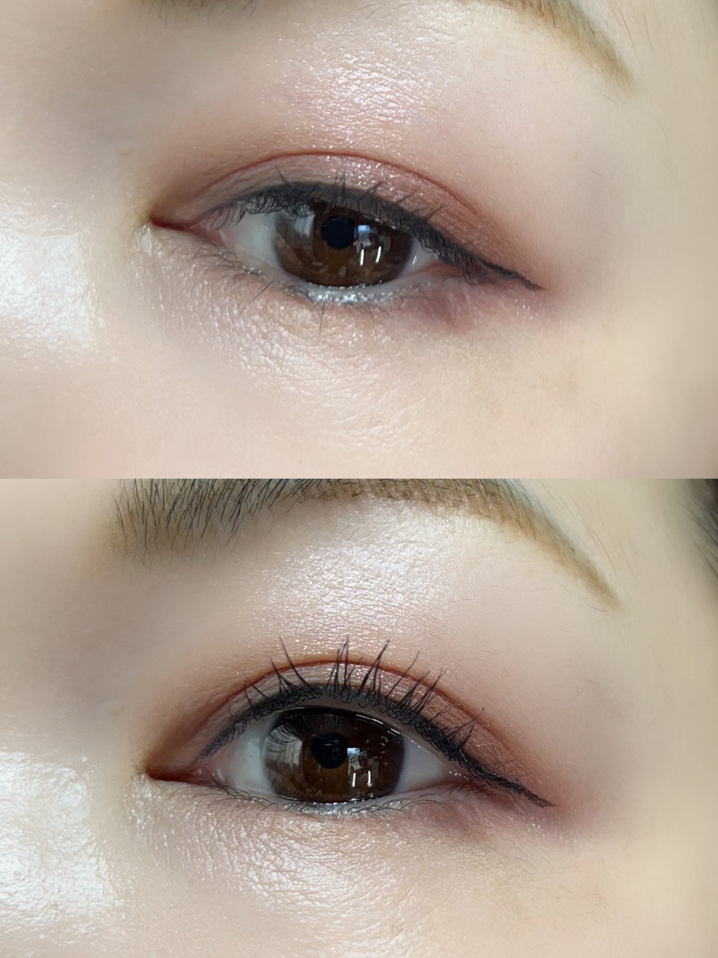 ベージュトーンアイシャドウ/CEZANNE/アイシャドウパレットを使ったクチコミ(5枚目)