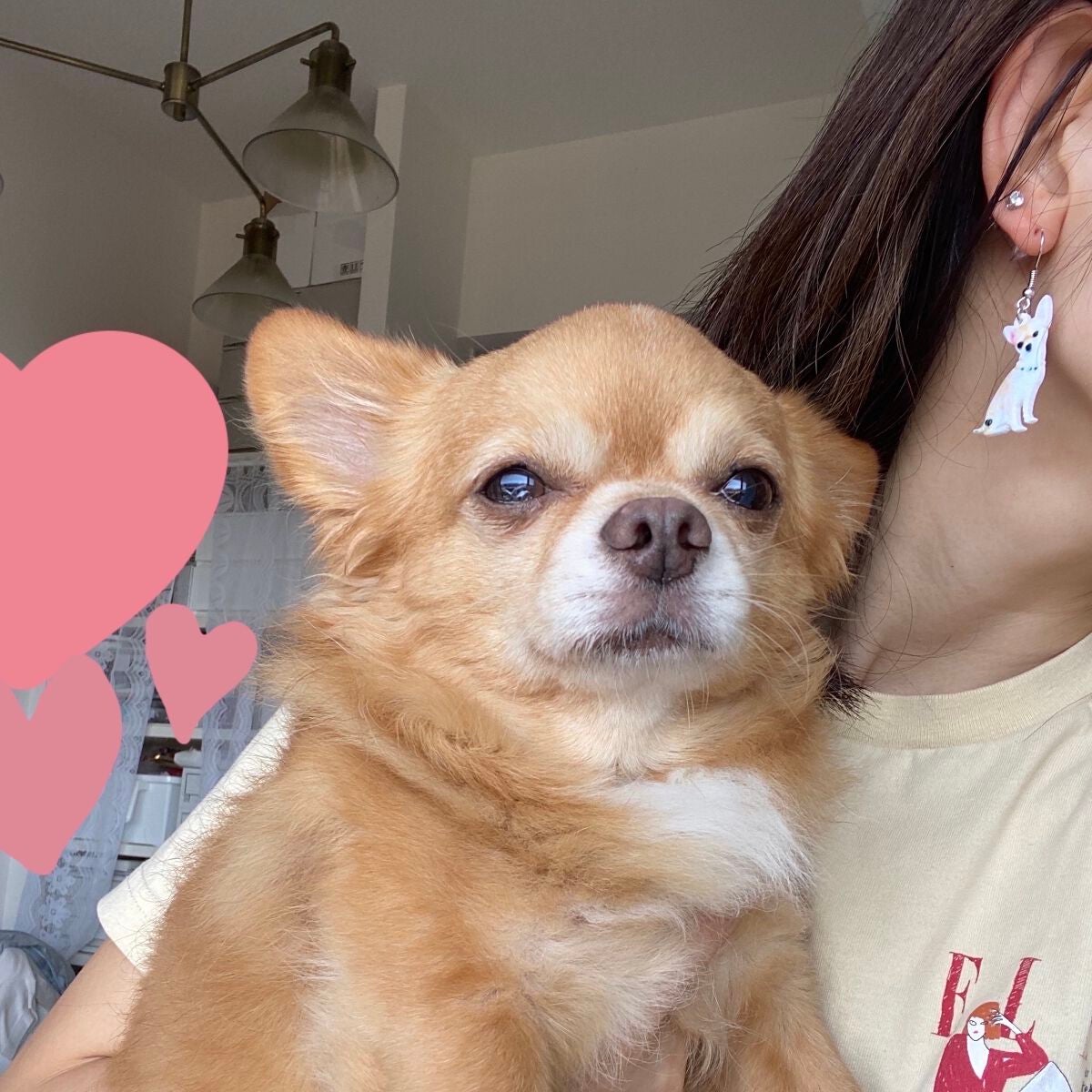 SHEINピアス/SHEIN/その他を使ったクチコミ(3枚目)