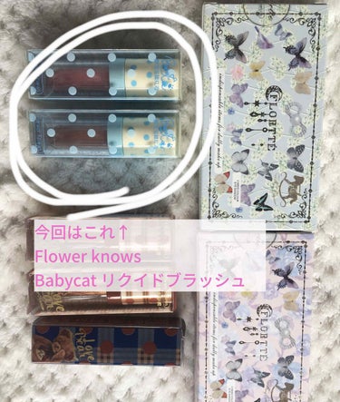 FlowerKnows BABY CAT リクイドブラッシュのクチコミ「⋆°｡✩取り寄せ中華コスメ☆*。

Flower knows(フラワーノーズ) さんの
Bab.....」（1枚目）