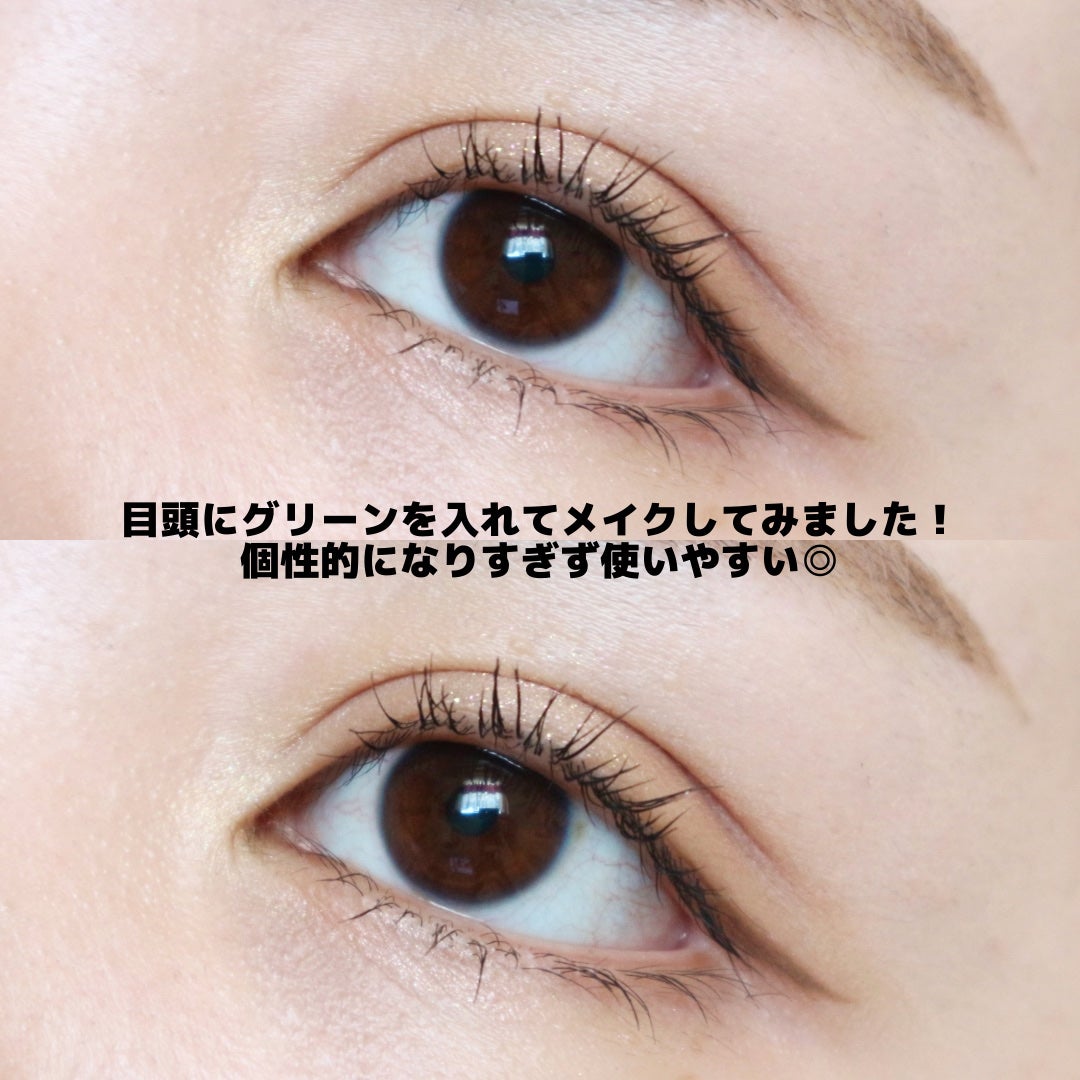 エクスプローラ12色 動物アイシャドウパレット/PERFECT DIARY/アイシャドウパレットを使ったクチコミ(5枚目)