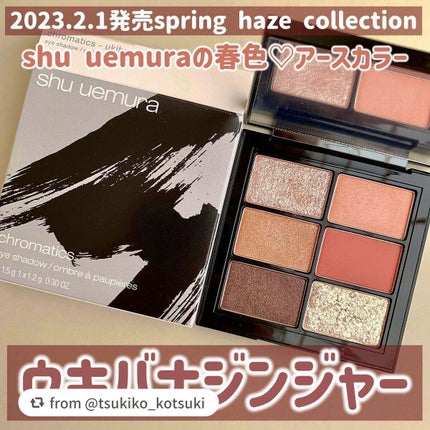 クロマティックス ウキバナジンジャー/shu uemura/アイシャドウパレットを使ったクチコミ(1枚目)