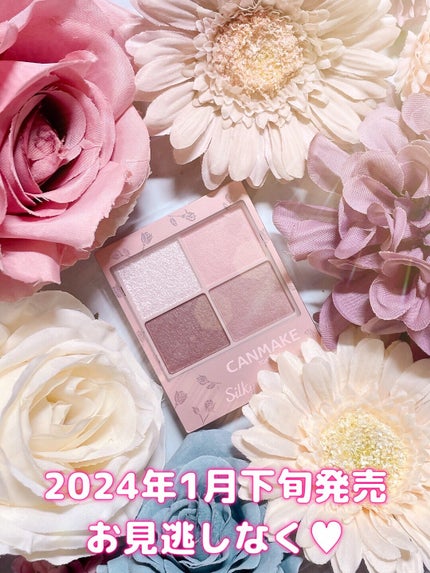 シルキースフレアイズ(マットタイプ)/キャンメイク/アイシャドウパレットを使ったクチコミ(5枚目)