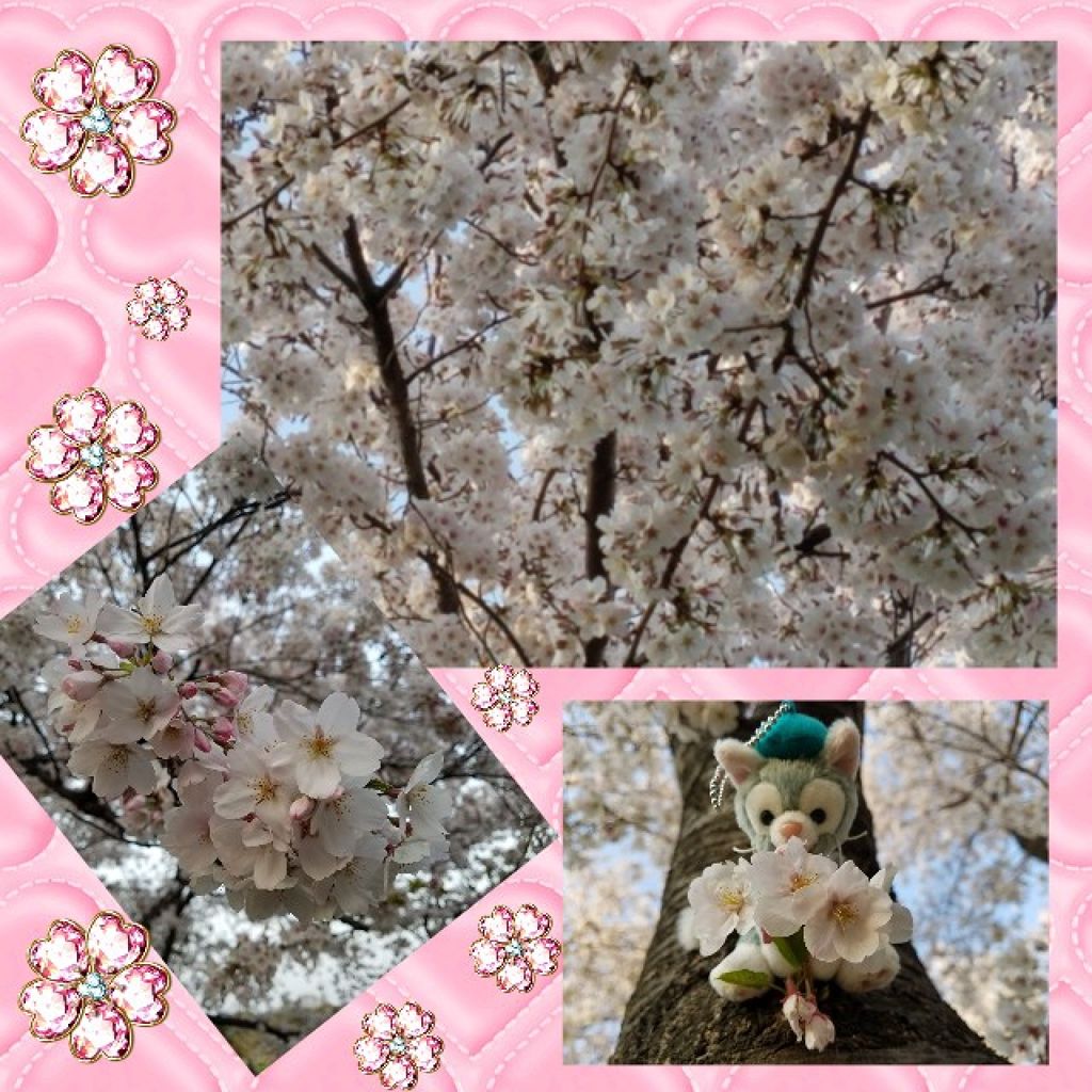 ピュアスマイルさくらエッセンスマスク/Pure Smile/シートマスク・パックを使ったクチコミ（2枚目）