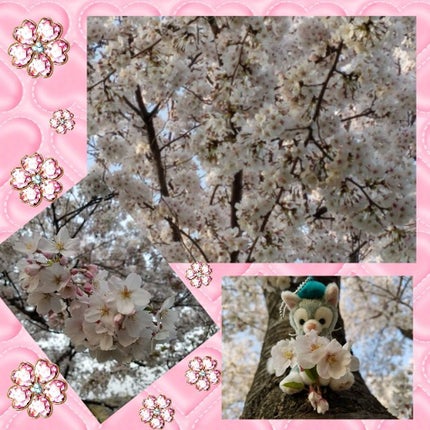 ピュアスマイルさくらエッセンスマスク/Pure Smile/シートマスク・パックを使ったクチコミ(2枚目)