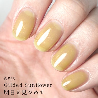 HOMEI ウィークリージェル WF23 ギルデッドサンフラワー(Gilded Sunflower)